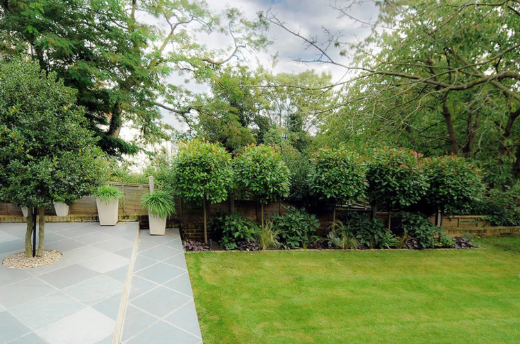 别墅花园装修设计如何确保私密-石楠