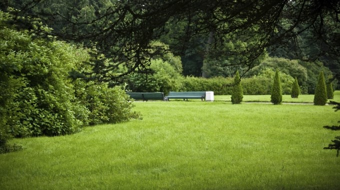 私家别墅庭院设计装修如何做好草坪维护-迷人的花园，绿色的草坪