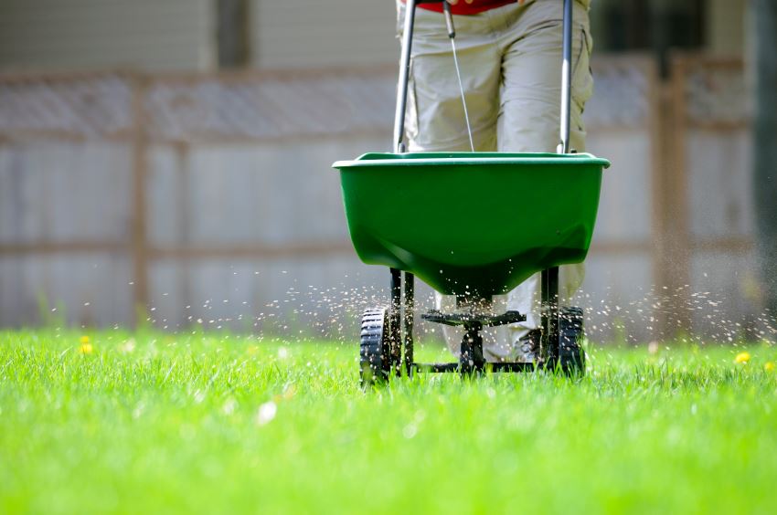 私家别墅庭院设计装修如何做好草坪维护-避免对你的草坪过度施肥