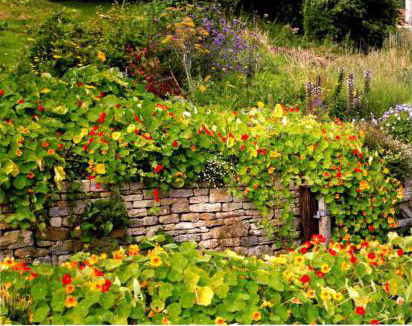 别墅花园装修如何选择结构材料 ——石块墙