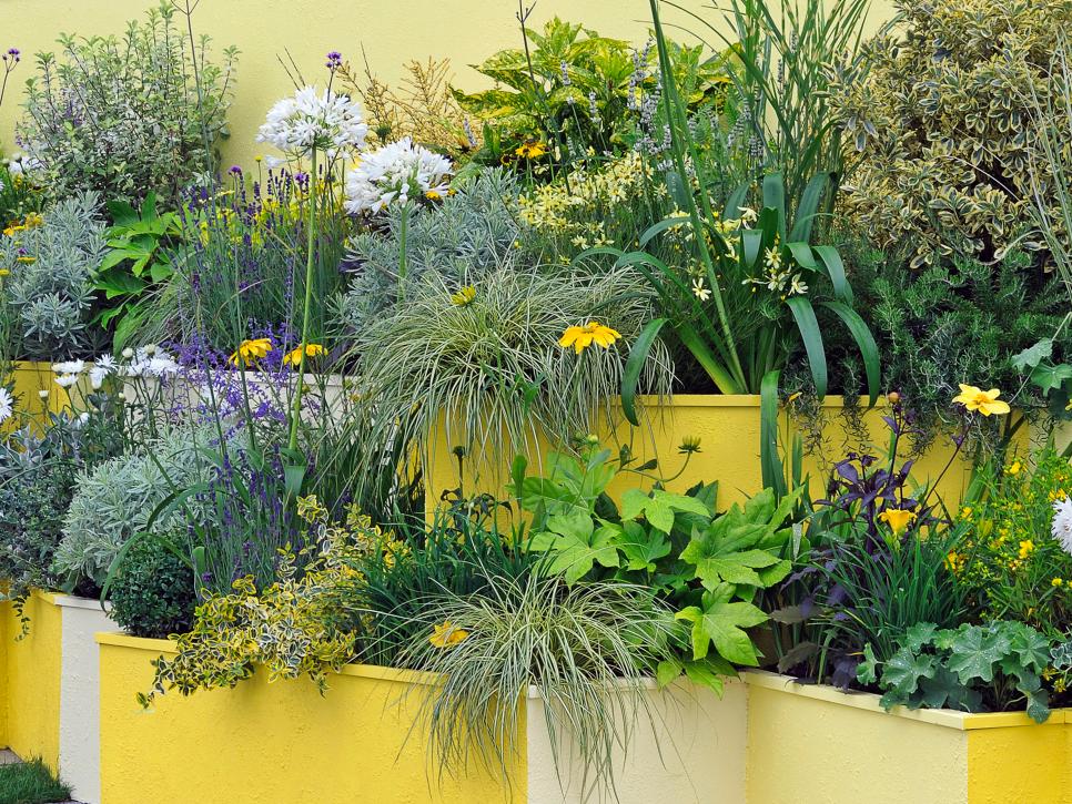 如何用各种容器制作创意盆栽来装扮你的小庭院 (2)