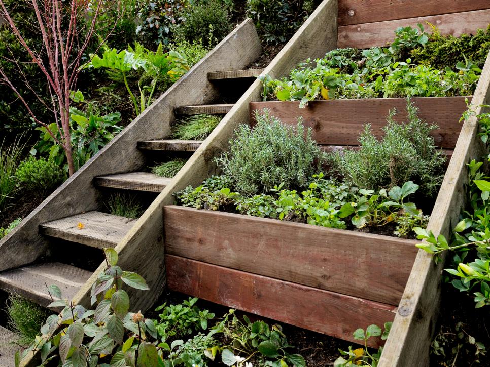 如何用各种容器制作创意盆栽来装扮你的小庭院 (3)