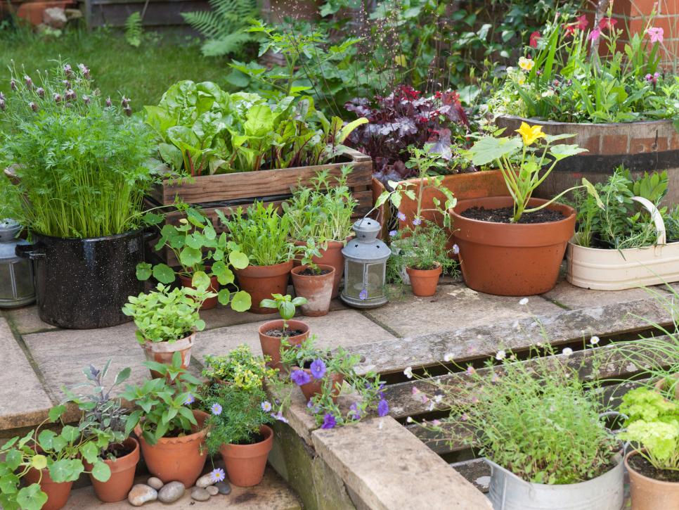 如何用各种容器制作创意盆栽来装扮你的小庭院 (6)