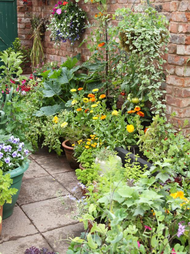 如何用各种容器制作创意盆栽来装扮你的小庭院 (7)