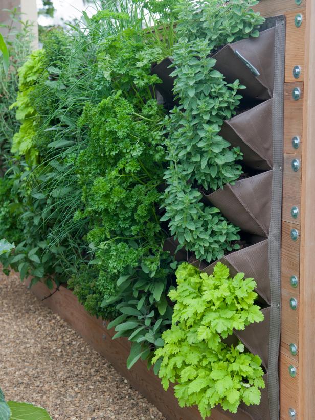 如何用各种容器制作创意盆栽来装扮你的小庭院 (8)