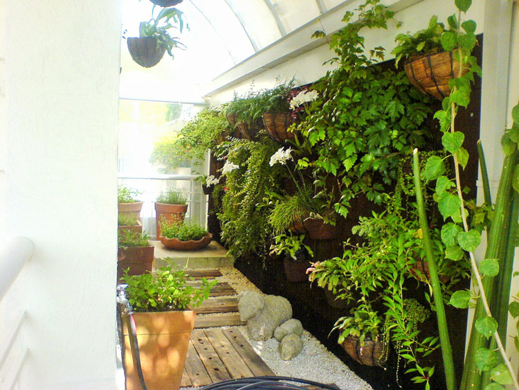 14个室内花园景观设计案例 (2)