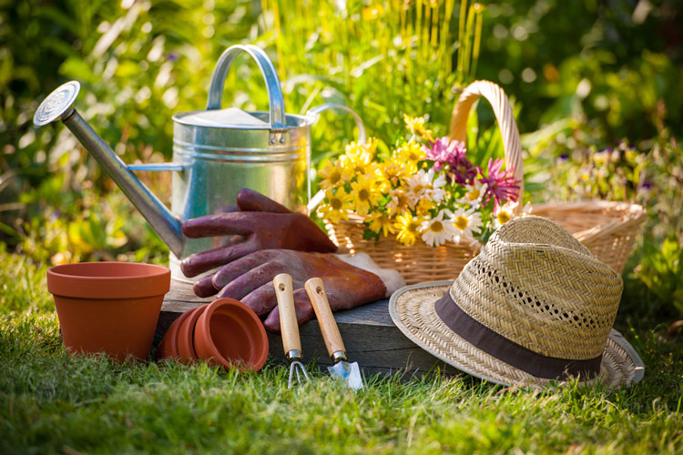 让私家花园维护工作更轻松的10个技巧