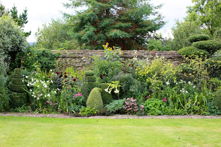 别墅庭院花坛中花草移植养护的方法及注意事项