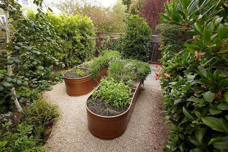 食用花园-厨房花园-花园式菜园 (11)