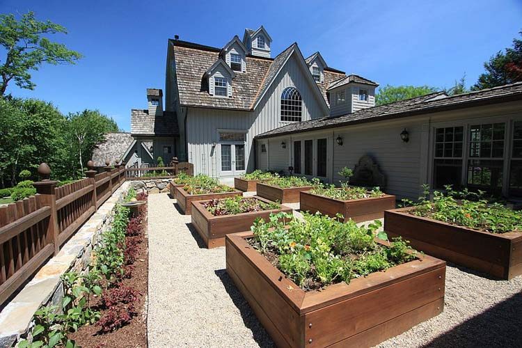 食用花园-厨房花园-花园式菜园 (14)