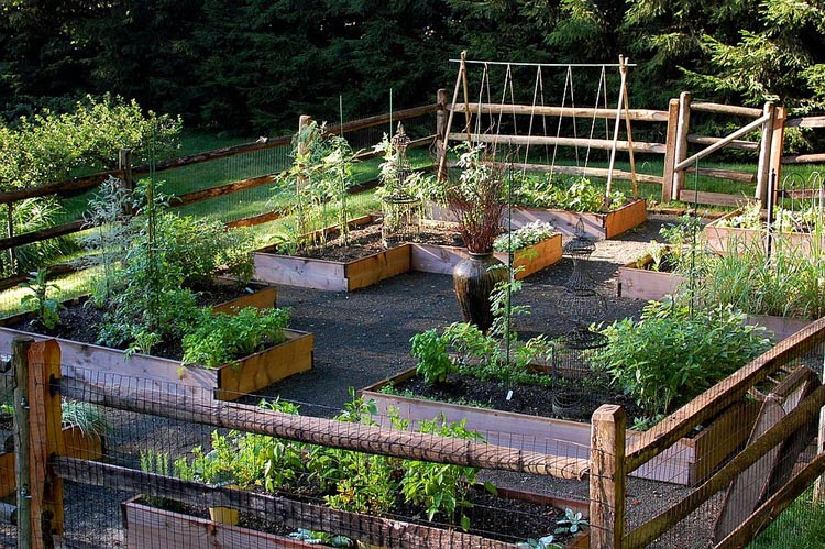 食用花园-厨房花园-花园式菜园 (8)