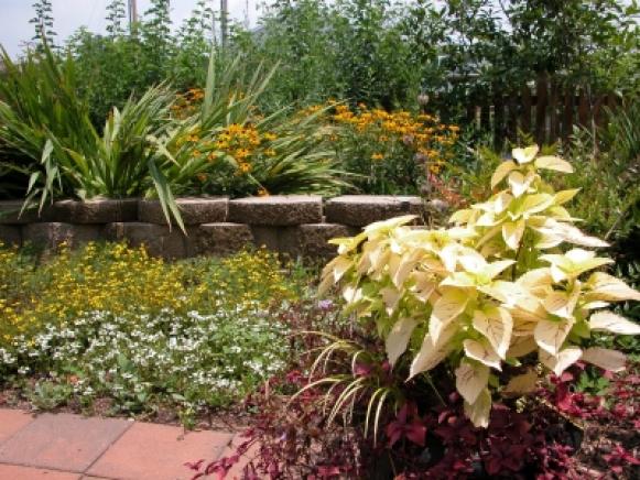 私家别墅庭院绿化植物设计要素：统一性