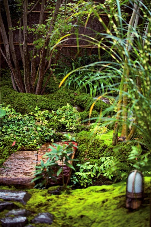 日本的日式庭院-共生日式别墅庭院（2）