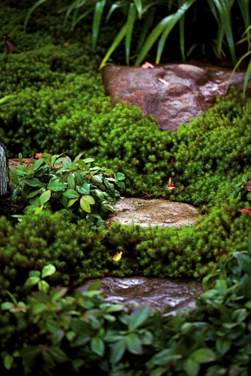 日本的日式庭院-共生日式别墅庭院（7）