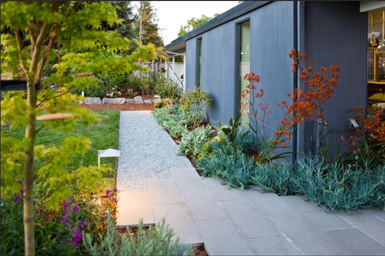 小别墅花园设计实景图现代风格（11）-成都一方园林绿化公司
