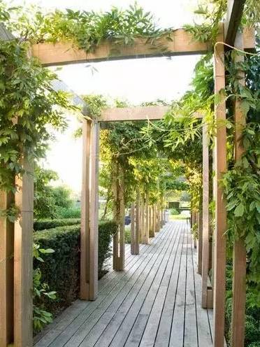 别墅庭院花架设计案例-成都一方园林绿化公司-1
